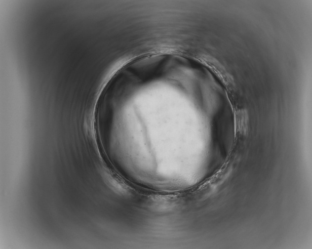 X0000111930147200908171243