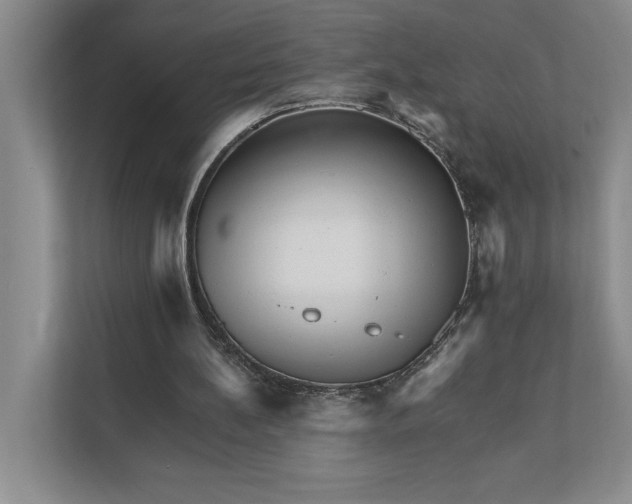 X0000111930148200908171243