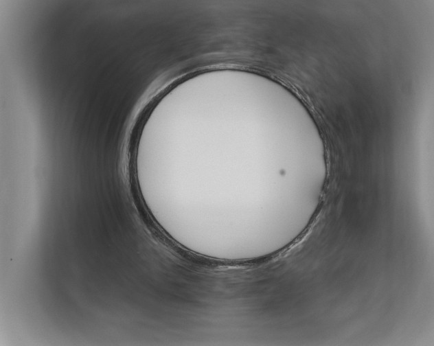 X0000111930150200908171244