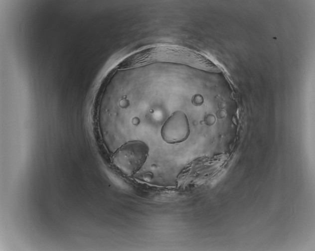 X0000111930151200908171244