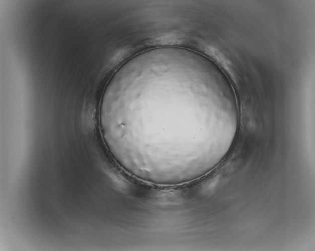 X0000111930153200908171244