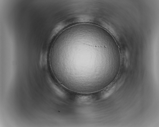 X0000111930155200908171244