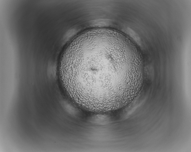 X0000111930159200908171244