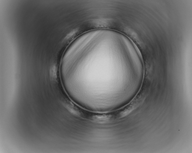 X0000111930161200908171244