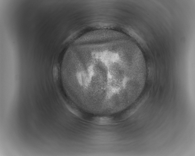 X0000111930165200908171244