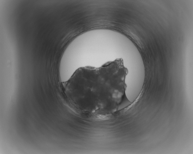 X0000111930166200908171244