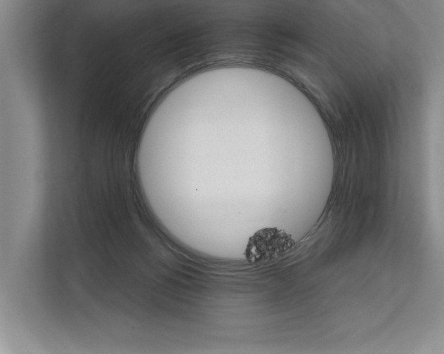 X0000111930168200908171244