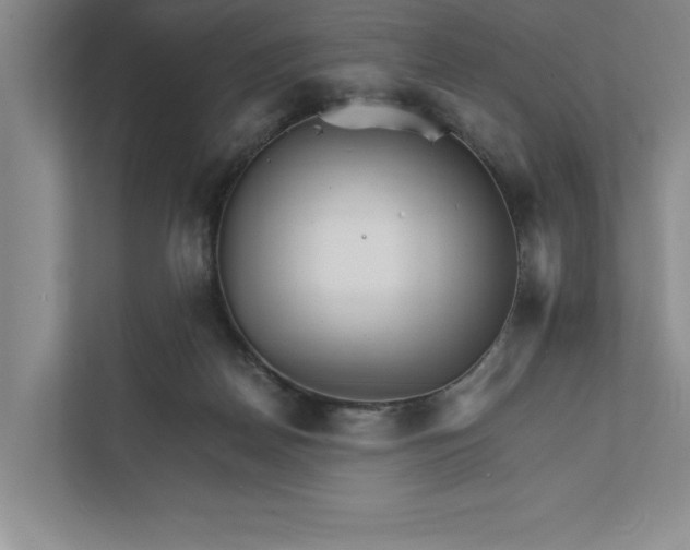 X0000111930170200908171244