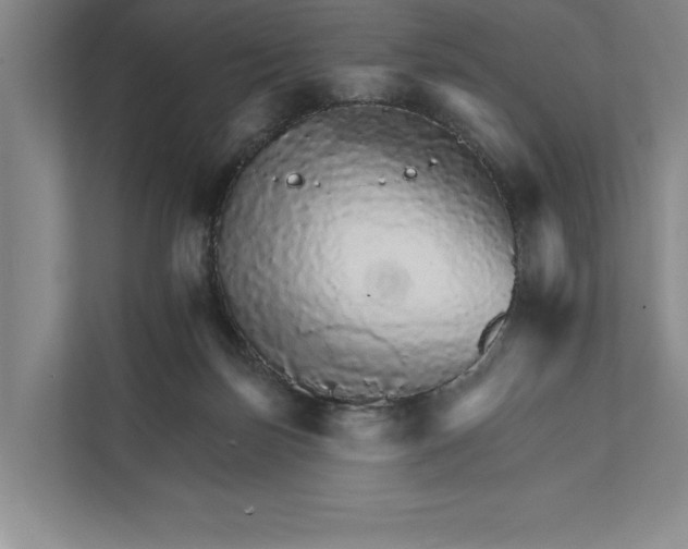 X0000111930171200908171244