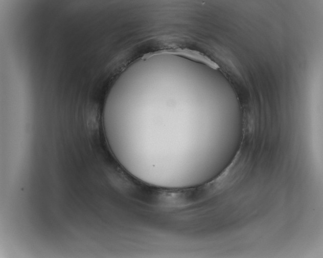 X0000111930174200908171244