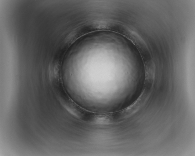 X0000111930175200908171244