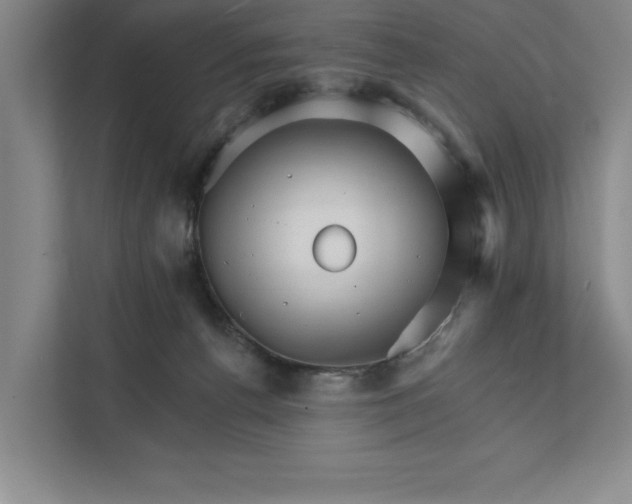 X0000111930176200908171244