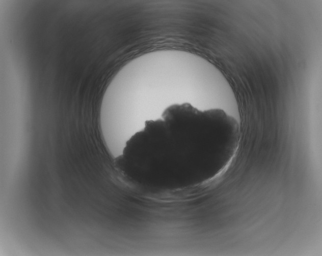 X0000111930178200908171244