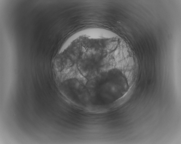 X0000111930179200908171244