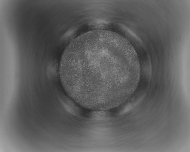 X0000111930181200908171244