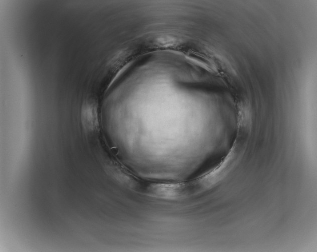 X0000111930182200908171244