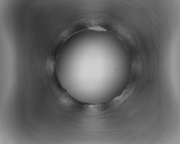 X0000111930188200908171244