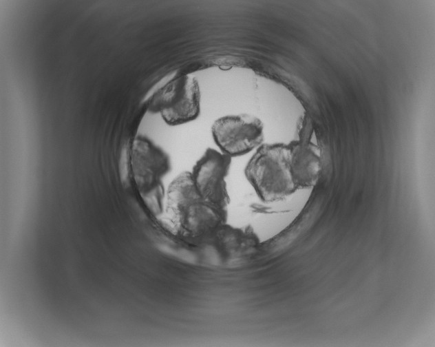 X0000111930189200908171244