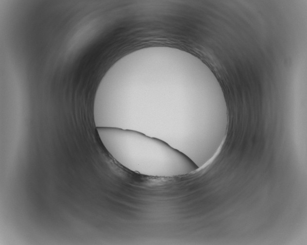 X0000111930190200908171244