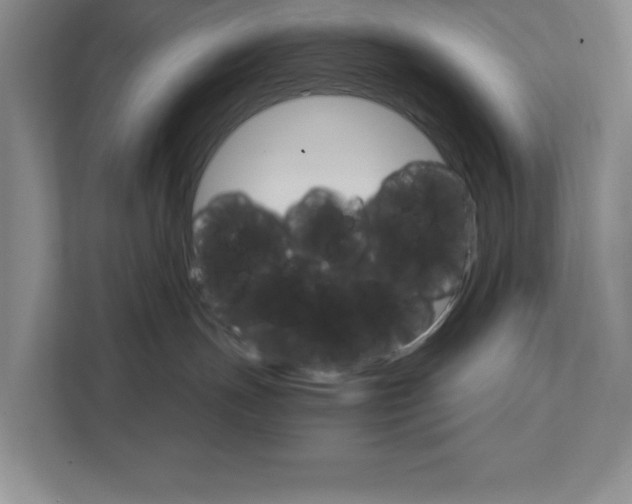 X0000111930191200908171244