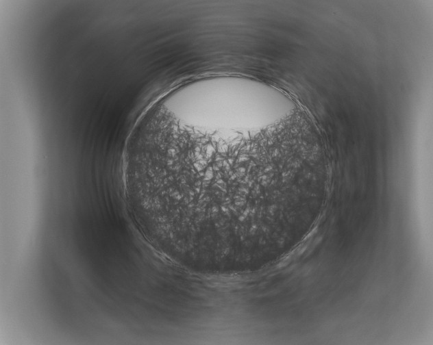 X0000111930194200908171243