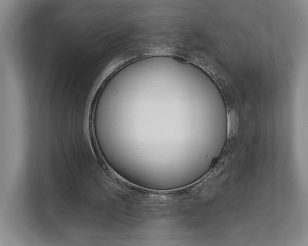 X0000111930195200908171243