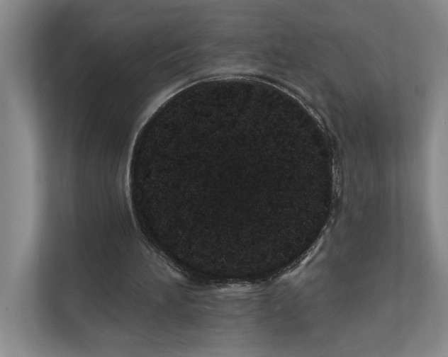 X0000111930196200908171243