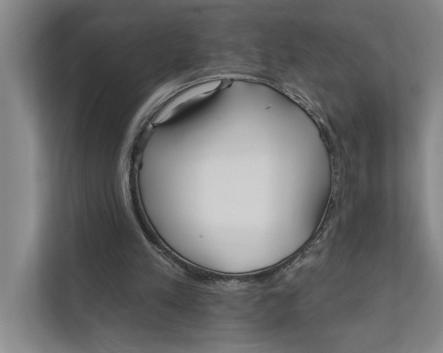 X0000111930197200908171243