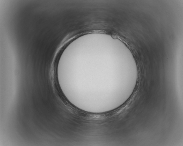 X0000111930198200908171243