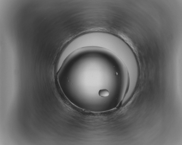 X0000111930201200908171243