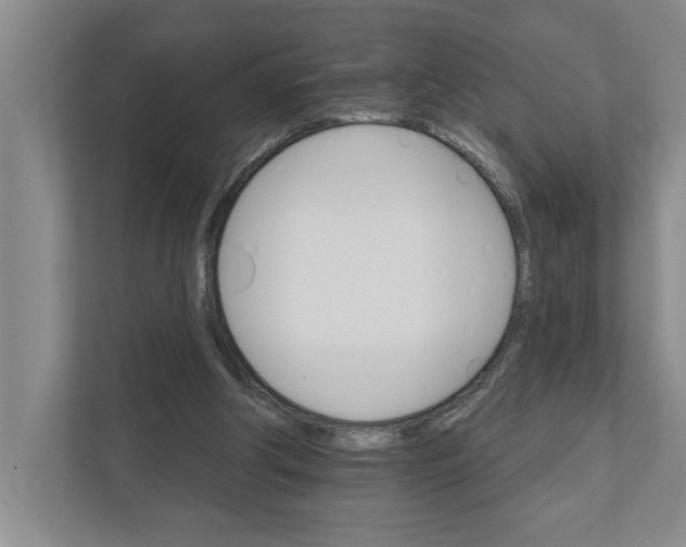 X0000111930202200908171243