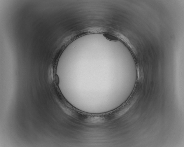 X0000111930205200908171243