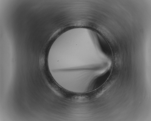 X0000111930208200908171243