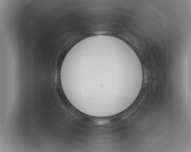 X0000111930210200908171243