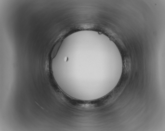 X0000111930212200908171243