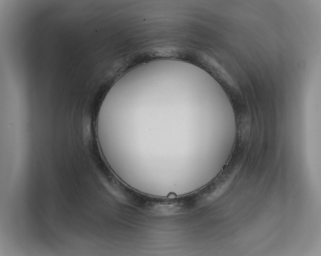 X0000111930213200908171243