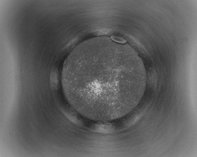 X0000111930215200908171243