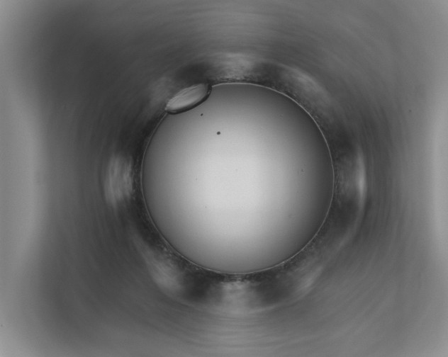 X0000111930216200908171243