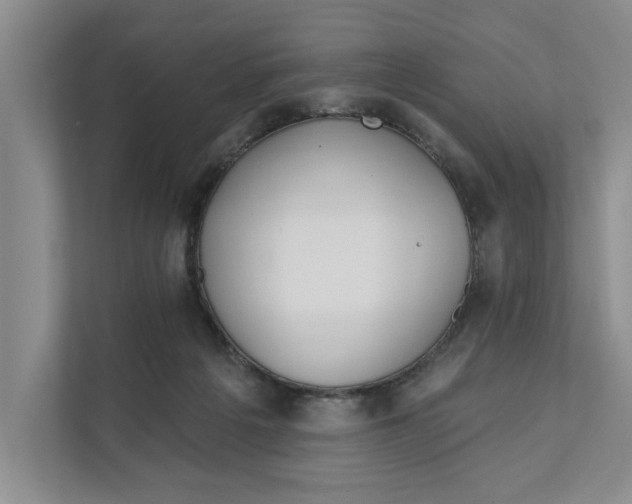 X0000111930217200908171243