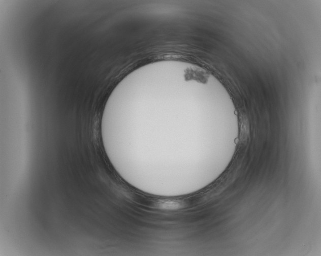 X0000111930218200908171243