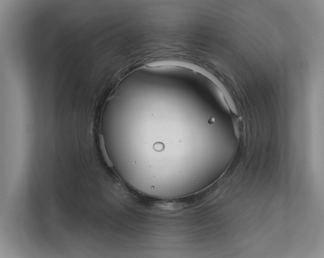 X0000111930221200908171243