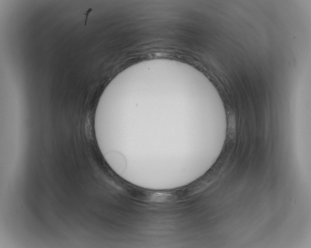 X0000111930222200908171243