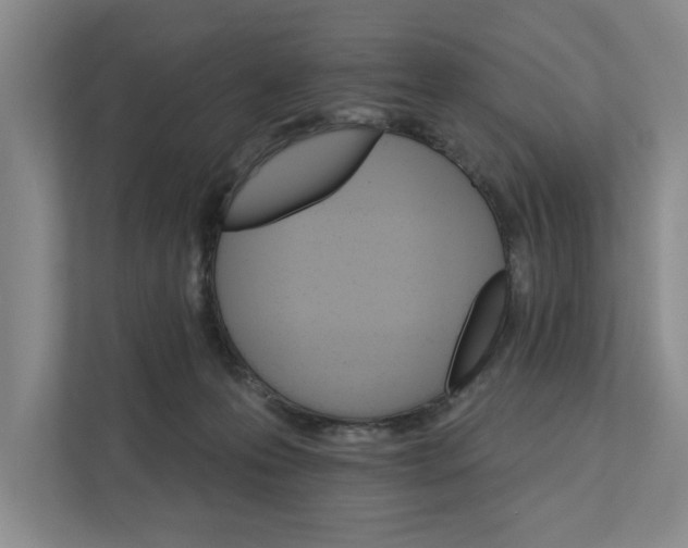 X0000111930223200908171243