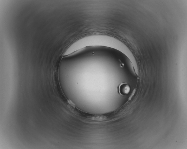 X0000111930225200908171243