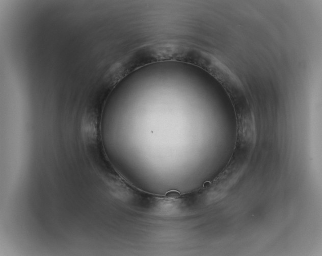 X0000111930226200908171243