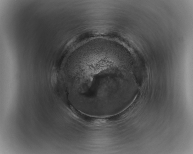 X0000111930227200908171243