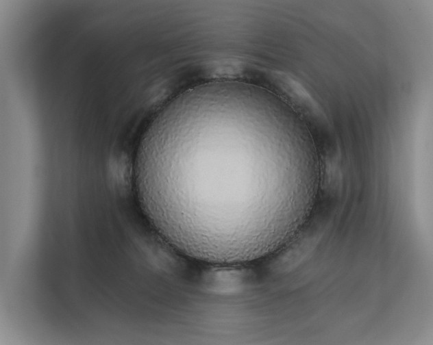 X0000111930228200908171243