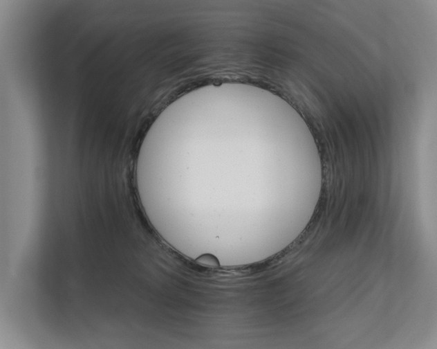 X0000111930229200908171243