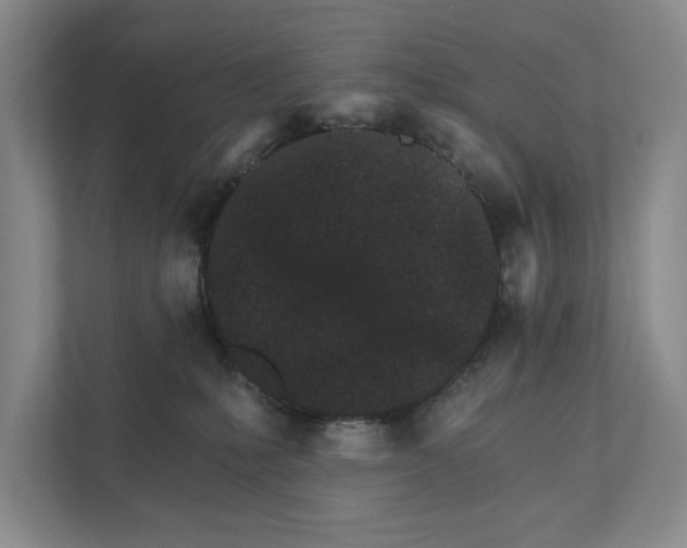 X0000111930231200908171243