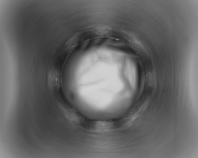 X0000111930234200908171243